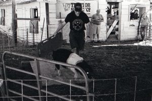 Swine Show Ramp